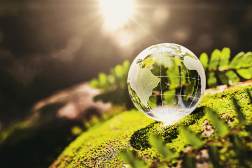 https://lucksonehs.mx/wp-content/uploads/2021/08/crystal-globe-glass-resting-moss-stone-with-sunshine-nature-forset-eco-environment-concept-1.jpg